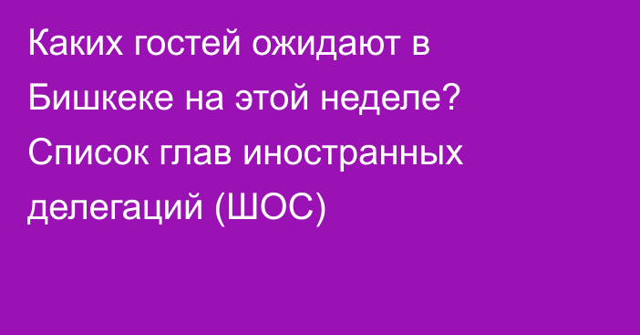 Каких гостей ожидают в Бишкеке на этой неделе? Список глав иностранных делегаций (ШОС)