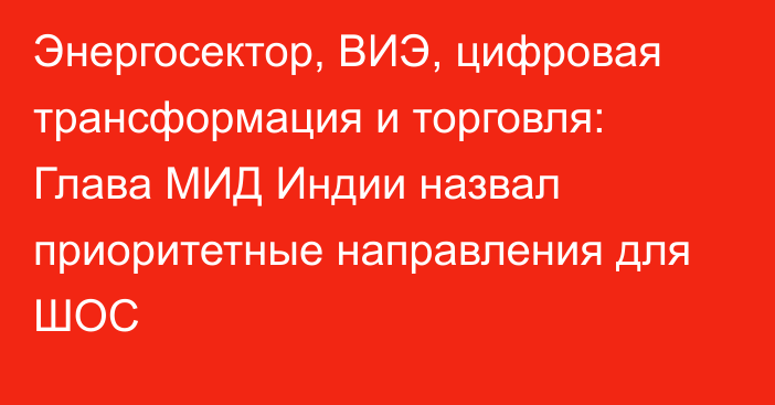 Энергосектор, ВИЭ, цифровая трансформация и торговля: Глава МИД Индии назвал приоритетные направления для ШОС