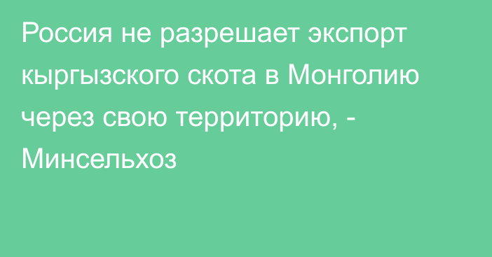 Россия не разрешает экспорт кыргызского скота в Монголию через свою территорию, - Минсельхоз