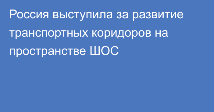 Россия выступила за развитие транспортных коридоров на пространстве ШОС