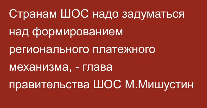 Странам ШОС надо задуматься над формированием регионального платежного механизма, - глава правительства ШОС М.Мишустин