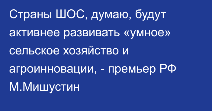 Страны ШОС, думаю, будут активнее развивать «умное» сельское хозяйство и агроинновации, - премьер РФ М.Мишустин