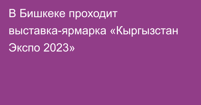 В Бишкеке проходит выставка-ярмарка «Кыргызстан Экспо 2023»