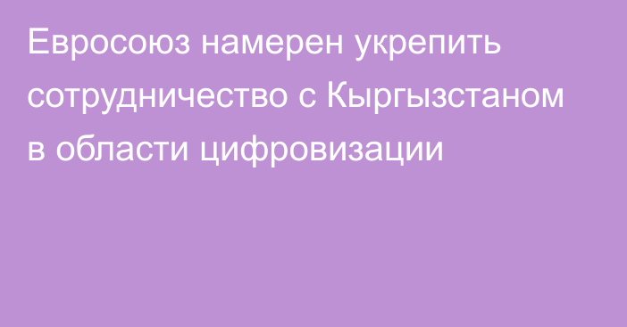 Евросоюз намерен укрепить сотрудничество с Кыргызстаном в области цифровизации