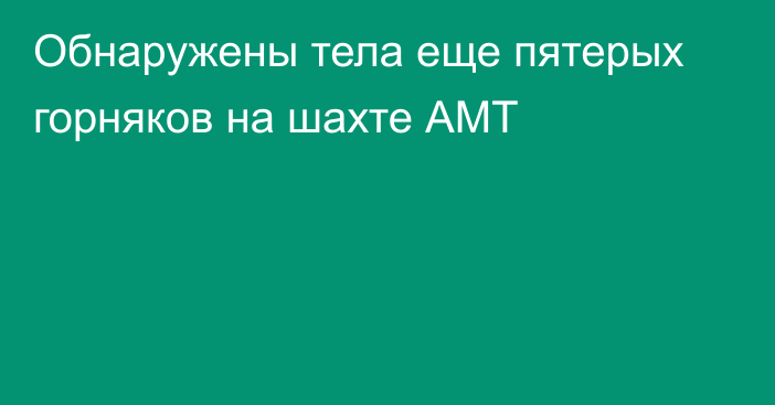 Обнаружены тела еще пятерых горняков на шахте АМТ