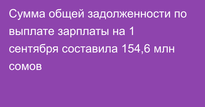 Сумма общей задолженности по выплате зарплаты на 1 сентября составила 154,6 млн сомов