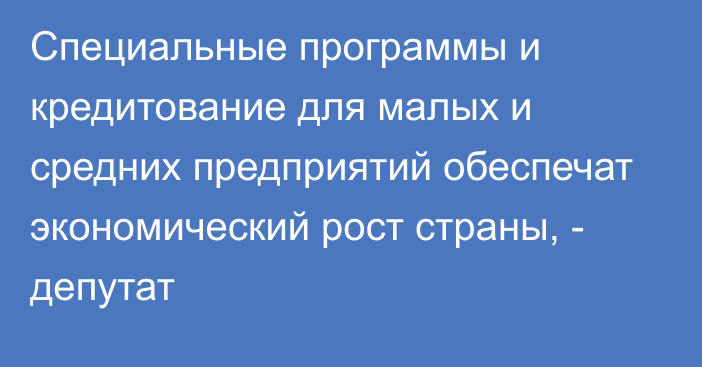 Специальные программы и кредитование для малых и средних предприятий обеспечат экономический рост страны, - депутат