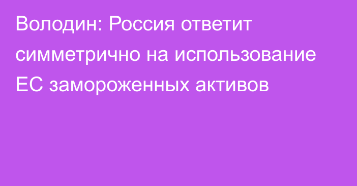 Володин: Россия ответит симметрично на использование ЕС замороженных активов