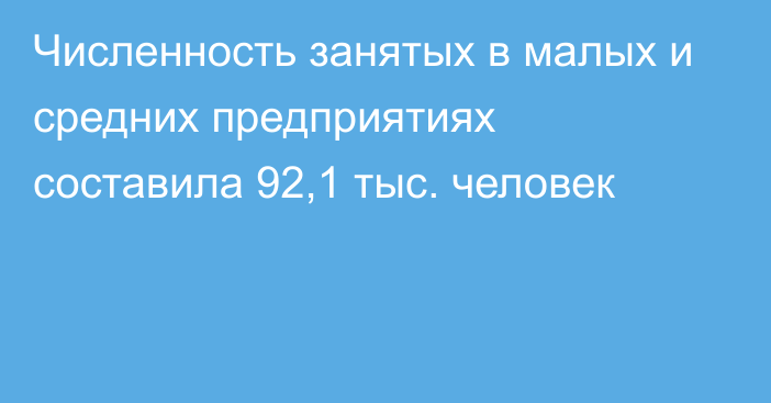 Численность занятых в малых и средних предприятиях составила 92,1 тыс. человек