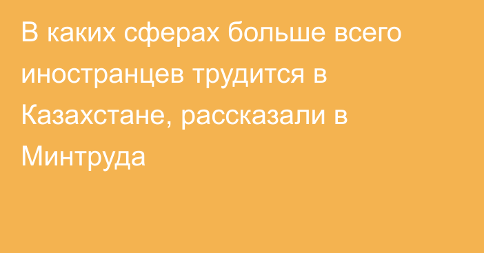 В каких сферах больше всего иностранцев трудится в Казахстане, рассказали в Минтруда