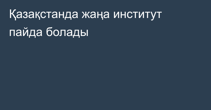 Қазақстанда жаңа институт пайда болады