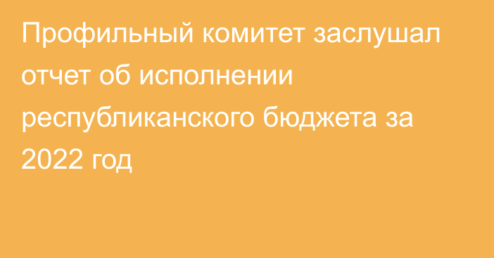 Профильный комитет заслушал отчет об исполнении республиканского бюджета за 2022 год