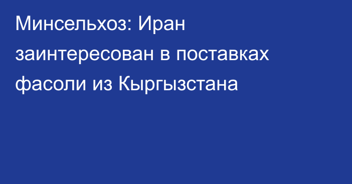 Минсельхоз: Иран заинтересован в поставках фасоли из Кыргызстана