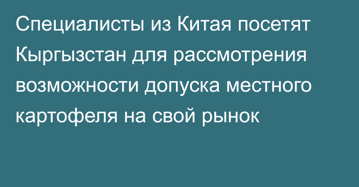 Специалисты из Китая посетят Кыргызстан для рассмотрения возможности допуска местного картофеля на свой рынок