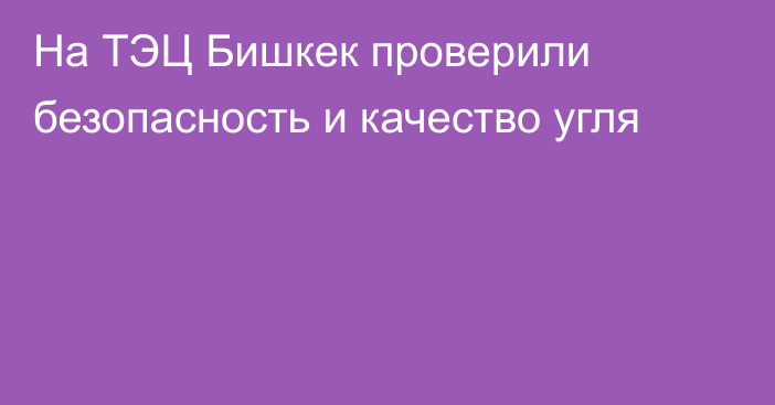 На ТЭЦ Бишкек проверили безопасность и качество угля