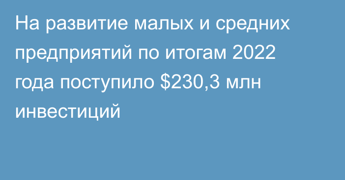 На развитие малых и средних предприятий по итогам 2022 года поступило $230,3 млн инвестиций