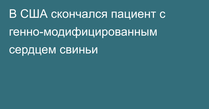 В США скончался пациент с генно-модифицированным сердцем свиньи