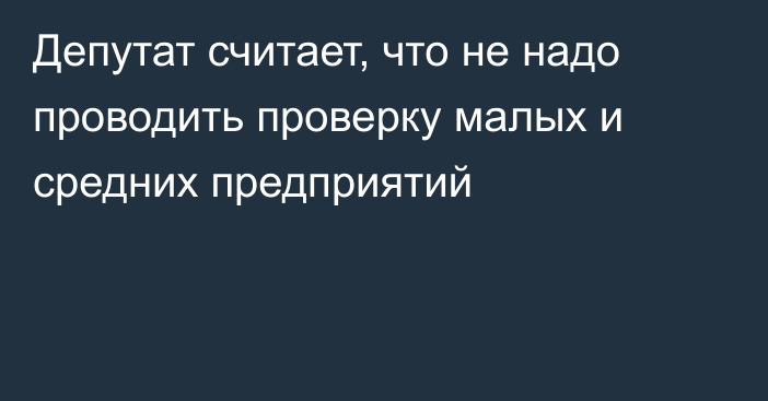 Депутат считает, что не надо проводить проверку малых и средних предприятий