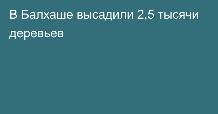 В Балхаше высадили 2,5 тысячи деревьев