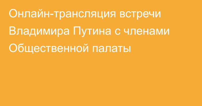 Онлайн-трансляция встречи Владимира Путина с членами Общественной палаты