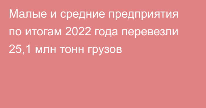 Малые и средние предприятия по итогам 2022 года перевезли 25,1 млн тонн грузов