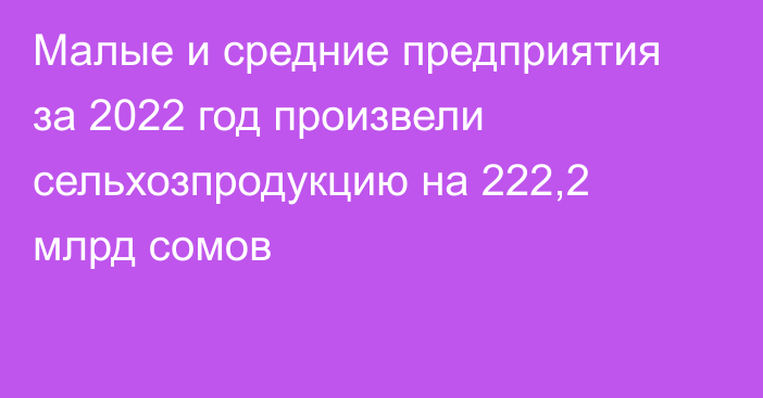 Малые и средние предприятия за 2022 год произвели сельхозпродукцию на 222,2 млрд сомов