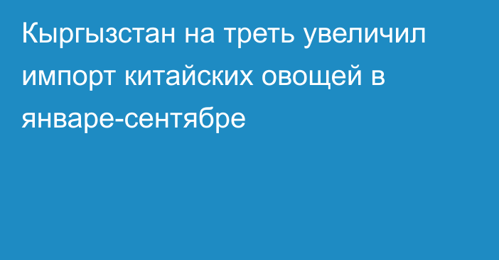 Кыргызстан на треть увеличил импорт китайских овощей в январе-сентябре