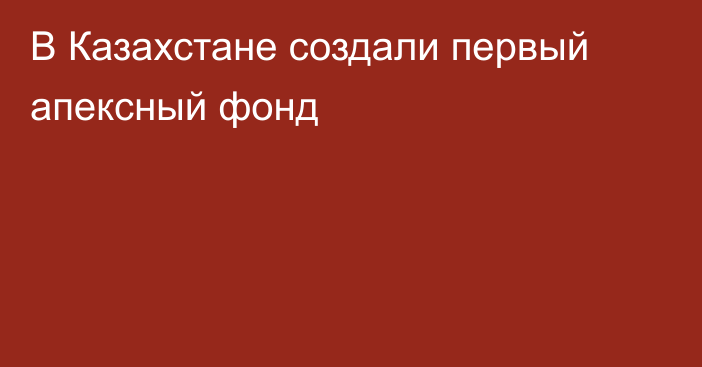 В Казахстане создали первый апексный фонд