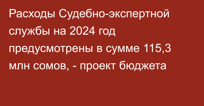 Расходы Судебно-экспертной службы на 2024 год предусмотрены в сумме 115,3 млн сомов, - проект бюджета