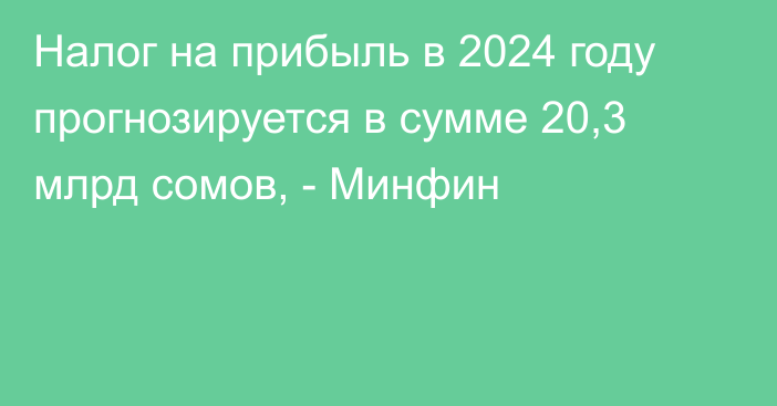 Налог на прибыль в 2024 году прогнозируется в сумме 20,3 млрд сомов, - Минфин