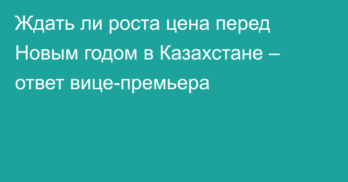 Ждать ли роста цена перед Новым годом в Казахстане – ответ вице-премьера