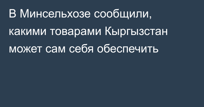 В Минсельхозе сообщили, какими товарами Кыргызстан может сам себя обеспечить