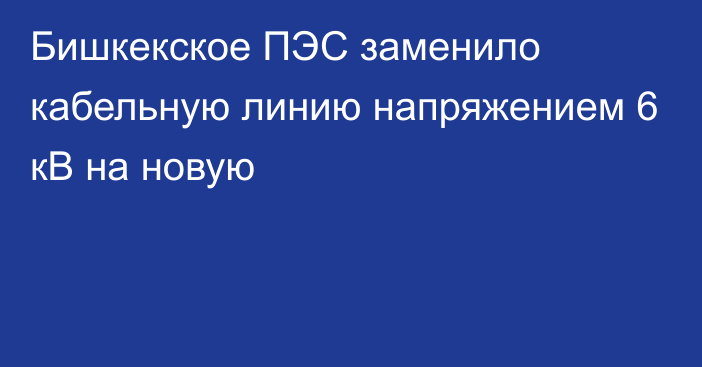 Бишкекское ПЭС заменило кабельную линию напряжением 6 кВ на новую