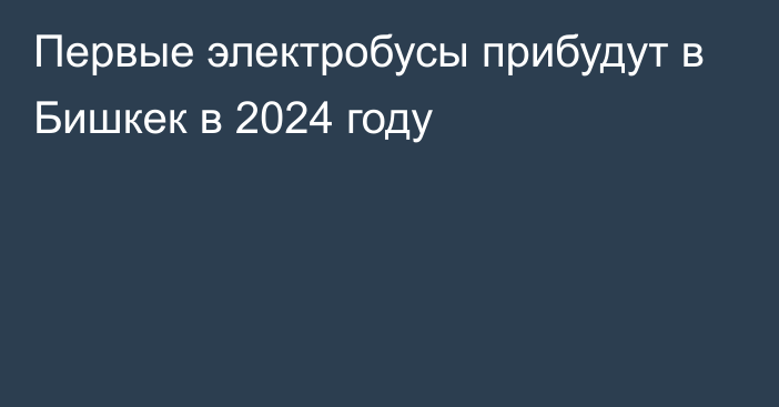 Первые электробусы прибудут в Бишкек в 2024 году