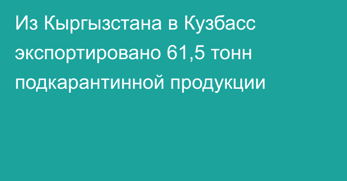 Из Кыргызстана в Кузбасс экспортировано 61,5 тонн подкарантинной продукции