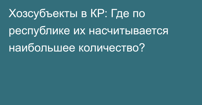 Хозсубъекты в КР: Где по республике их насчитывается наибольшее количество?