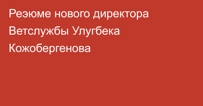 Реэюме нового директора Ветслужбы Улугбека Кожобергенова