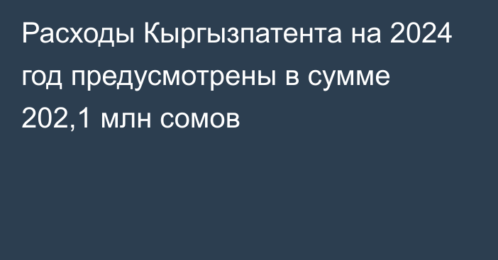 Расходы Кыргызпатента на 2024 год предусмотрены в сумме 202,1 млн сомов