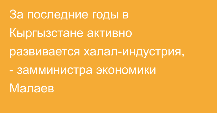 За последние годы в Кыргызстане активно развивается халал-индустрия, - замминистра экономики Малаев