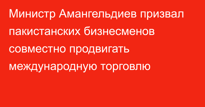 Министр Амангельдиев призвал пакистанских бизнесменов совместно продвигать международную торговлю