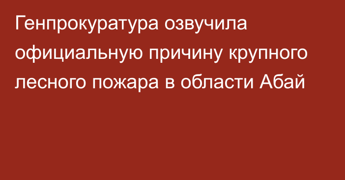 Генпрокуратура озвучила официальную причину крупного лесного пожара в области Абай