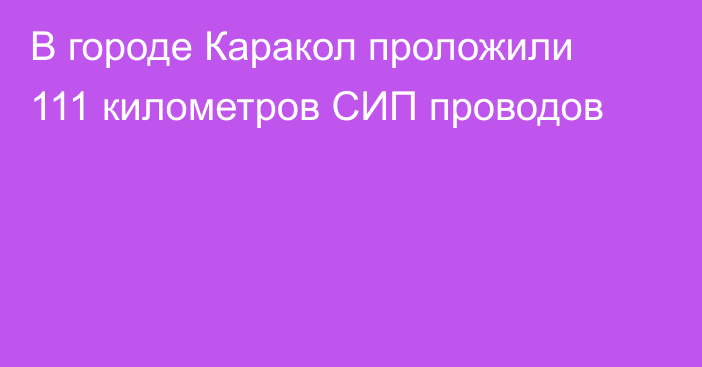 В городе Каракол проложили 111 километров СИП проводов