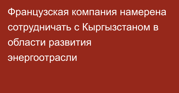 Французская компания намерена сотрудничать с Кыргызстаном в области развития энергоотрасли