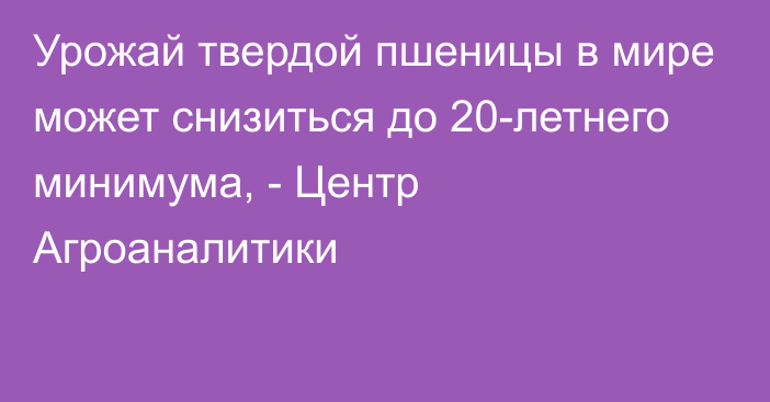 Урожай твердой пшеницы в мире может снизиться до 20-летнего минимума, - Центр Агроаналитики 