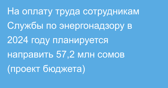 На оплату труда сотрудникам Службы по энергонадзору в 2024 году планируется направить 57,2 млн сомов (проект бюджета)