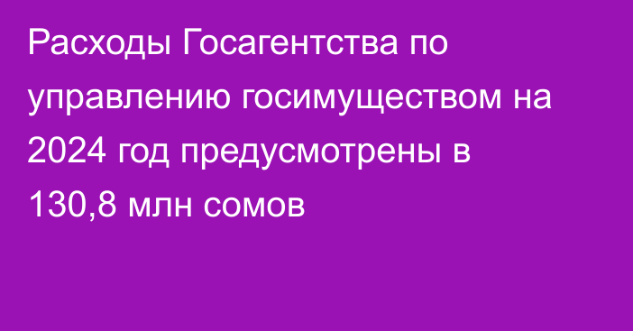 Расходы Госагентства по управлению госимуществом на 2024 год предусмотрены в 130,8 млн сомов