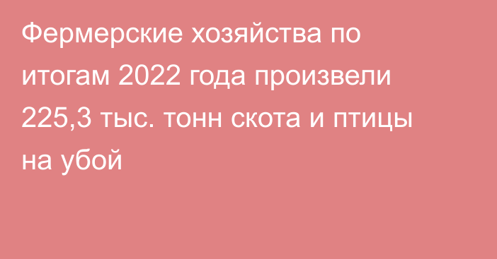 Фермерские хозяйства по итогам 2022 года произвели 225,3 тыс. тонн скота и птицы на убой