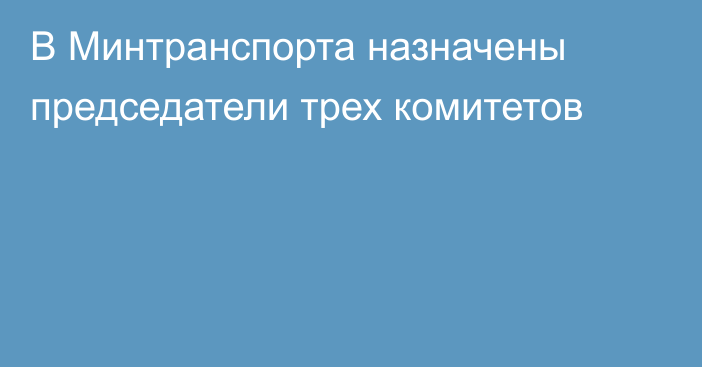 В Минтранспорта назначены председатели трех комитетов