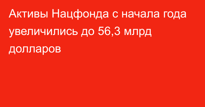 Активы Нацфонда с начала года увеличились до 56,3 млрд долларов