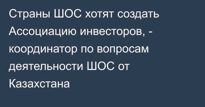 Страны ШОС хотят создать Ассоциацию инвесторов, - координатор по вопросам деятельности ШОС от Казахстана